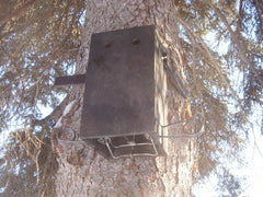 DO YOU LIKE TRAPPING?  Plans for Tree boxes for trapping Martin & Fisher