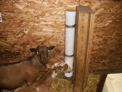 Mineral Feeder For Goats Small Farm Animals - FREE PLANS - GREAT IDEA